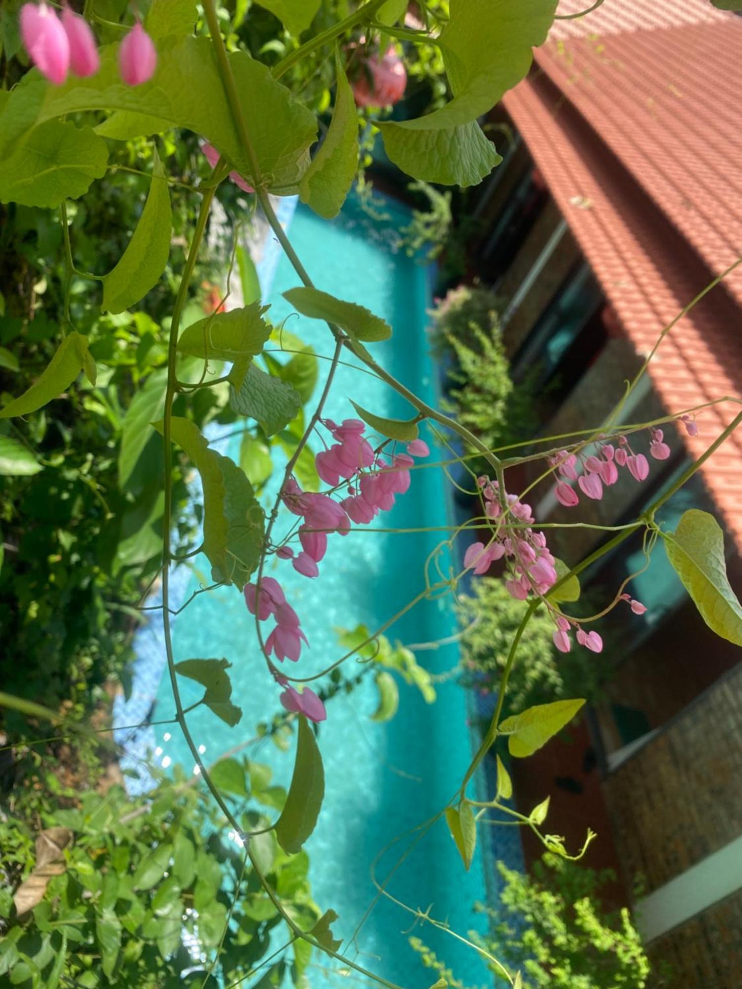 Sunshine Villa Thuy Bieu Hue Exterior photo